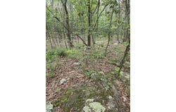 75 Far View Rd, Hope Twp., NJ 07838-2701