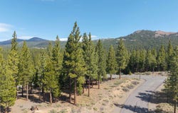 20 S Ridge Road, Portola, CA 96122