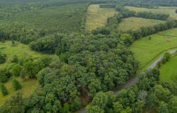 Lot 1 GEORGES MILL RD, Palmyra, VA 22963