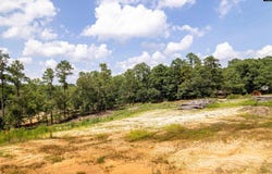 204 Doe Drive, Hopkins, SC 29061