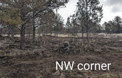 Canvasback Drive, Bonanza, OR 97623