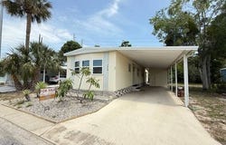 1039 Dove Lane, Tarpon Springs, FL 34689