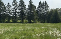 921 Van Buren Road, Caribou, ME 04736