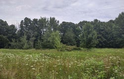 475 Tyler Road, Wayland, MI 49348