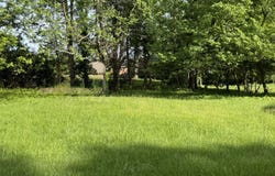 203 Parkview Drive, Bardstown, KY 40004