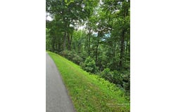 Bear Paw Road lot: C10, Elk Park, NC 28622