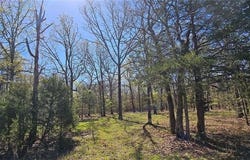 0000 Wilderness Springs - Tract  CCCCC  TR, Lead Hill, AR 72544