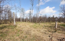 0 Potter Road, Bear Lake, MI 49614