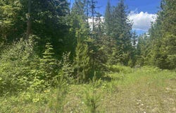 N Foster Ln, Cusick, WA 99180