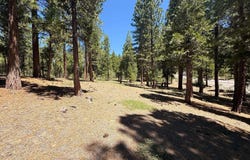 300 Peppergrass Lane, Portola, CA 96121-0000
