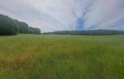 1280 Paul Baskette Road, Limestone, TN 37681