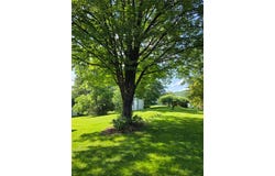77 Vestal Avenue, Hancock, NY 13783
