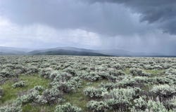 Tract 33 Monte Drive, Wisdom, MT 59761
