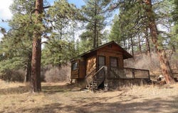 203 Evergreen, Pagosa Springs, CO 81147