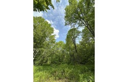5563 Calderwood, Trout Creek, MI 49967