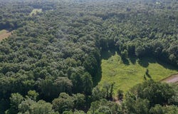 TBD Hwy 843, Kelly, LA 71441