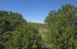 Mountain Dew, Horseshoe Bay, TX 78657