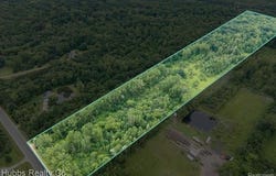 Birch Run Rd., Arbela Twp, MI 48746