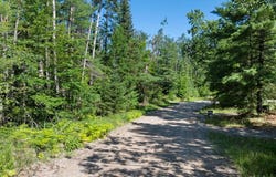 14703 Shore Line Drive, Wolverine, MI 49799