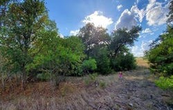 6520 Charleton Lane, Cleburne, TX 76033