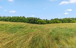 V/L Staley Road, Lyons, MI 48851