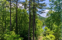 75 Holly Ridge, Sapphire, NC 28774