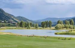 14265 S LEADER Lane, Jackson, WY 83001