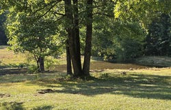 1110 Quapaw Drive, Redfield, AR 72132