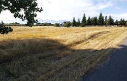 6150 County Road 200, Orland, CA 95963