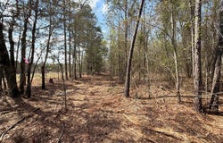 Cva 9 Archie Ware Road, Ridge Spring, SC 29129