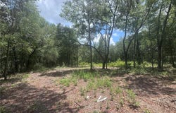 751 NE 139TH Avenue, WILLISTON, FL 32696
