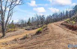 71 County Road 338, Crane Hill, AL 35053