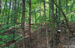 Lakewood Drive, Lake Lure, NC 28746