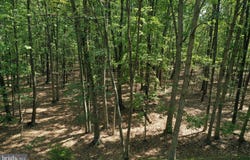 WALNUT RIDGE Road, OLDTOWN, MD 21555