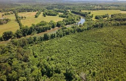 40 Shepards Glen, Oden, AR 71961