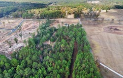 NSN Brashier Ln., Lucedale, MS 39452