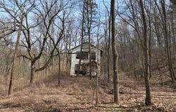 5440 Wilkinson Road, Hector, NY 14841