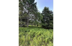 TBD Blossom, Iron River, MI 49935