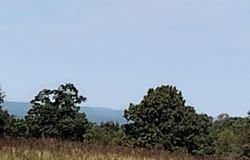Toad Hollow rd, Mountain View, AR 72560