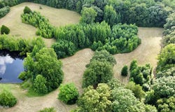 Anderson Circle, Henderson, TN 38340