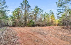 County rd 12, Carrollton, AL 35447