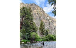 37797 W Highway 14, Bellvue, CO 80512
