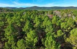 4206 HWY 298, Jessieville, AR 71949