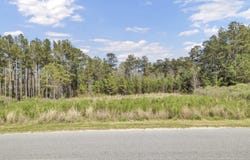 1319 Wood Sorrel Drive, Moncks Corner, SC 29461