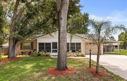 205 CRICKET HOLLOW LANE, EUSTIS, FL 32726