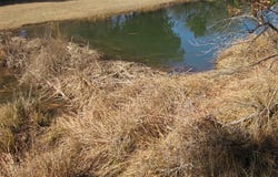 Tbd FM, Tuscola, TX 79562
