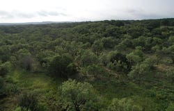 100+- Acres cr 159, Ovalo, TX 79541