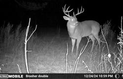 Ballentine Rd, SARDIS, MS 38666