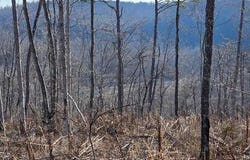 0 Harlow Road, Unincorporated, MO 65548