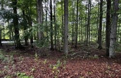 101 Elm Lane, Greentown, PA 18426